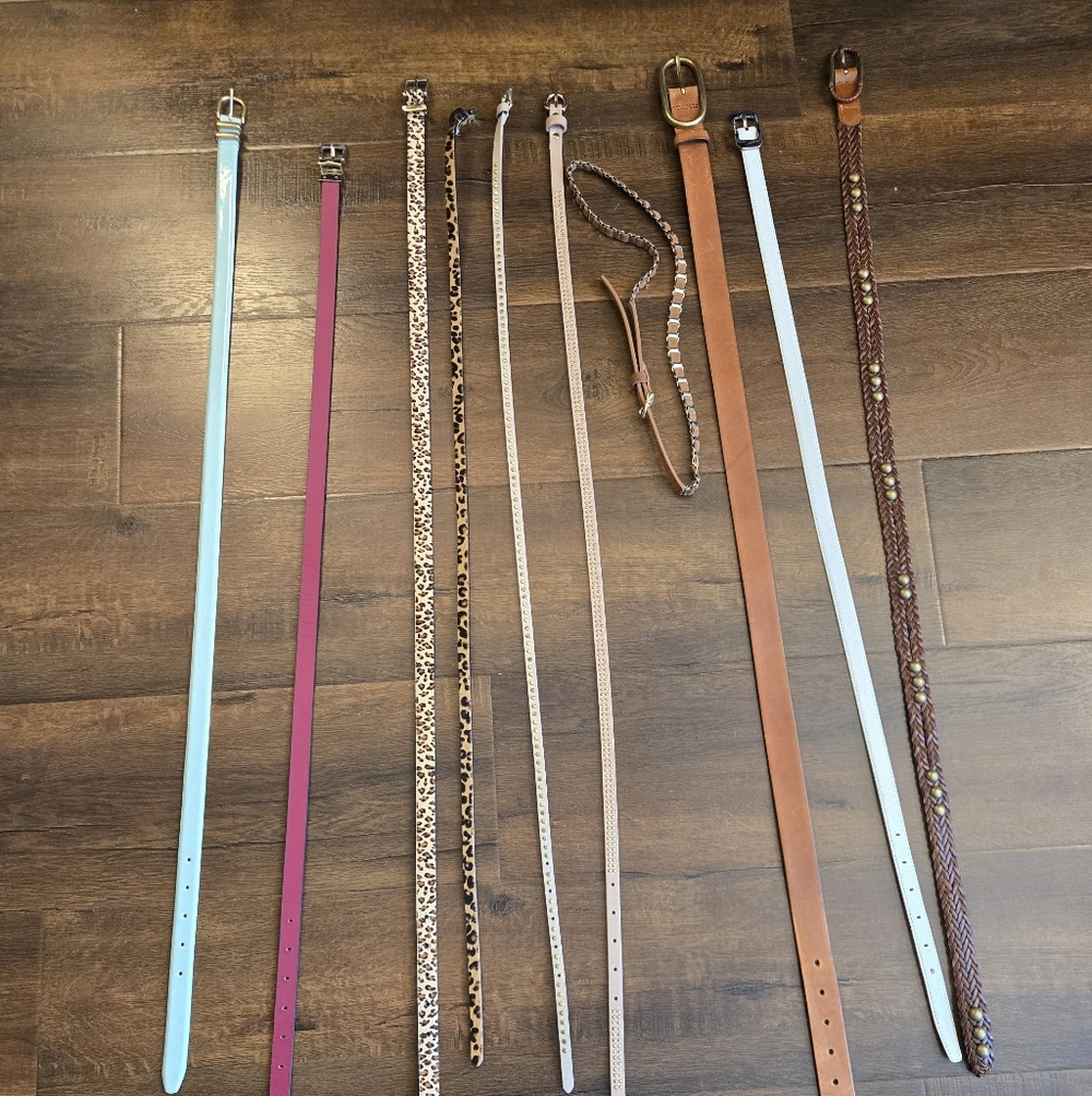 Set Of 10 Brown, Red, Green, Beige, Leopard Kate Spade Belts For Sale